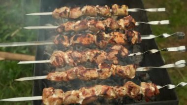 Izgarada domuz eti pişirme, barbekü, doğada şiş kebap..