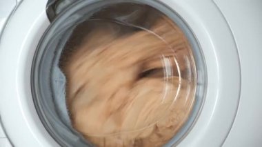 Çamaşır makinesi bej çarşafları sarıyor, pencereyi kapatıyor..