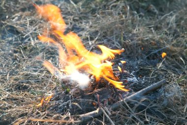 Sopalardan küçük şenlik ateşi ve kuru otlar doğada yanıyor..
