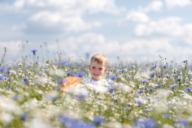 küçük bir çocuk papatya sahada yürüyor