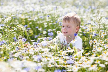 küçük bir çocuk papatya sahada yürüyor