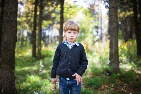 El chico en el bosque . —  Fotos de Stock