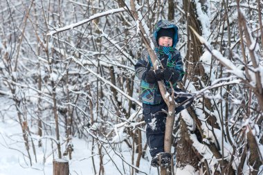 Ormanda kış çocuk.
