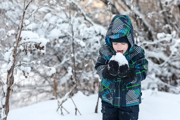 El niño en el bosque en invierno . —  Fotos de Stock