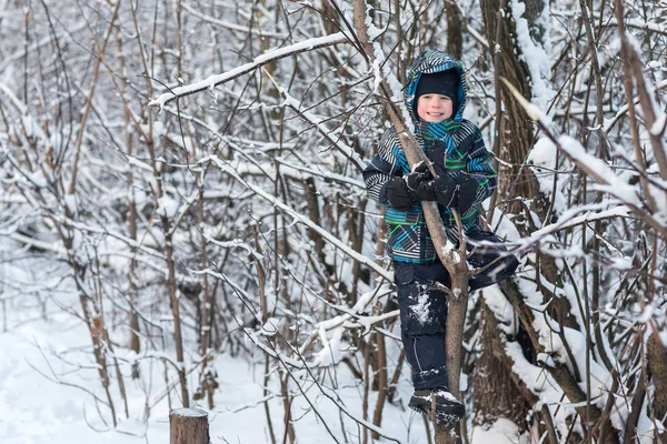 冬の森の中の少年. — ストック写真