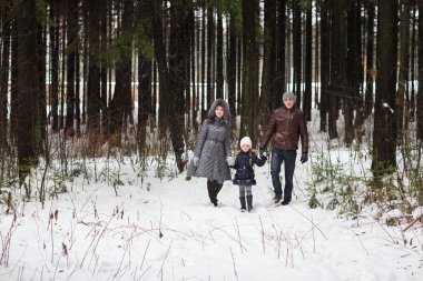 Mutlu aile bir kış parkta yürüyüş.