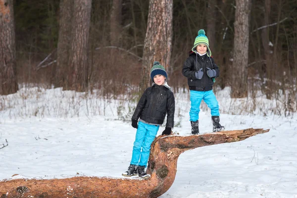 Dos hermanos en el bosque de invierno — Foto de Stock