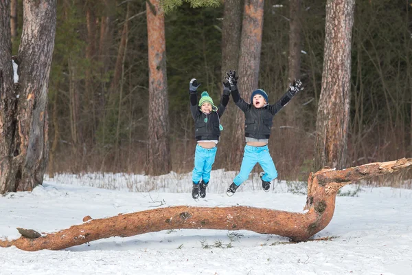 Dos hermanos en el bosque de invierno — Foto de Stock