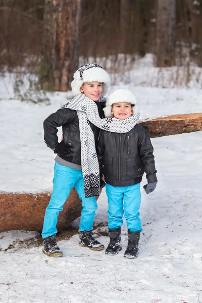 Dos hermanos en el bosque de invierno — Foto de Stock