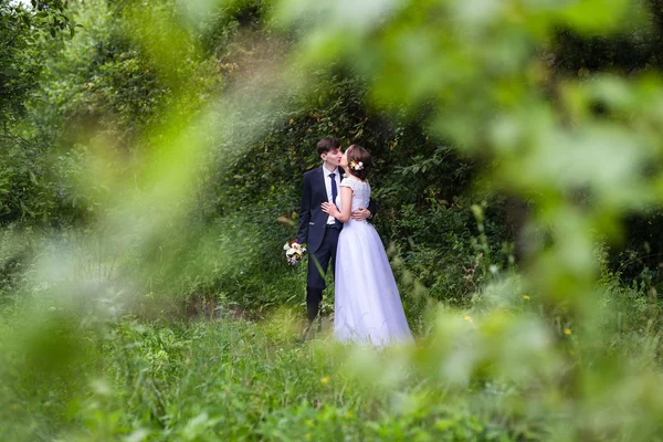 Beautiful bride and groom — Stock Photo, Image