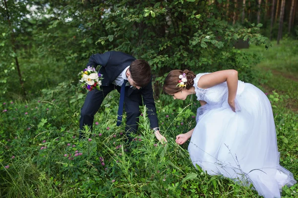 Schöne Braut und Bräutigam — Stockfoto