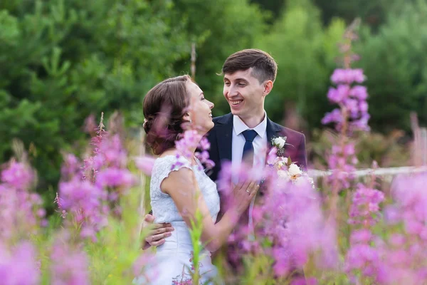 Beautiful bride and groom — Stock Photo, Image