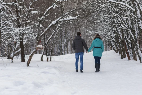 Молода красива пара гуляє в зимовому лісі — стокове фото