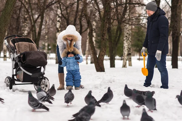 Счастливая молодая семья, гуляющая в парке зимой — стоковое фото