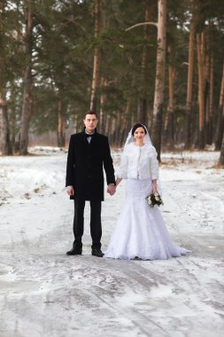 Kar kış ormanda yürüyüş yeni evli genç Çift