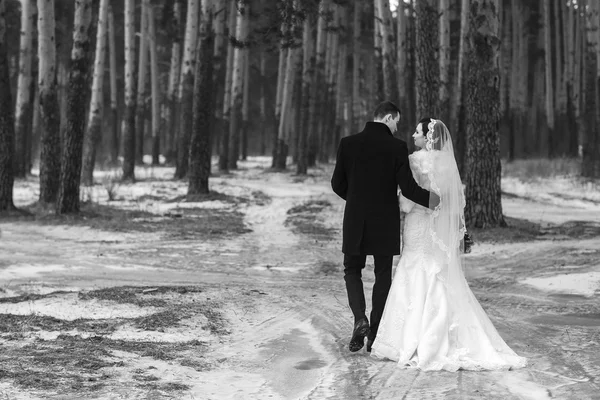 Giovani sposi vanno via nella foresta invernale nella neve — Foto Stock