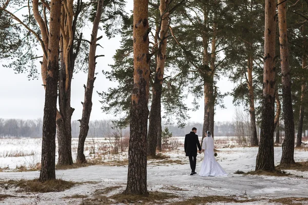 Giovani sposi vanno via nella foresta invernale nella neve — Foto Stock