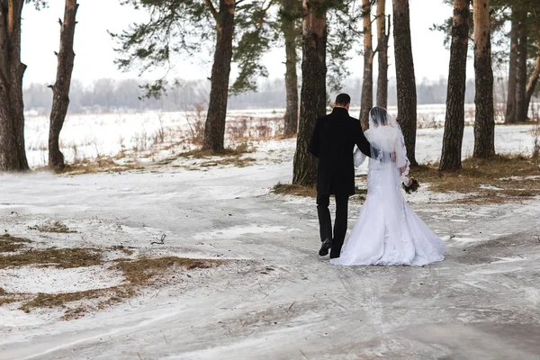 Jeune couple de jeunes mariés partent dans la forêt d'hiver dans la neige — Photo