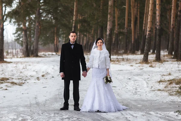 Young couple newlyweds walking in a winter forest in the snow — Stock Photo, Image