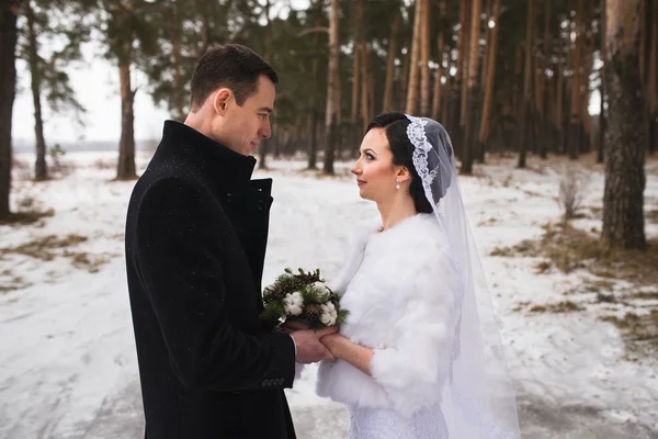 小两口新婚夫妇在冬季森林在雪中散步 — 图库照片