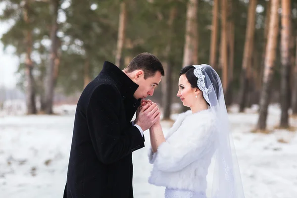 Junges Brautpaar spaziert im Winterwald im Schnee — Stockfoto