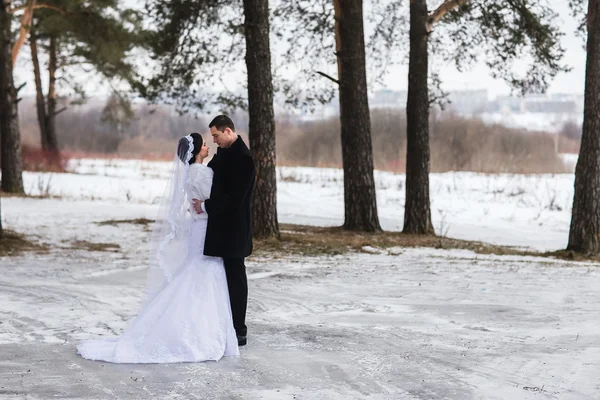 小两口新婚夫妇在冬季森林在雪中散步 — 图库照片