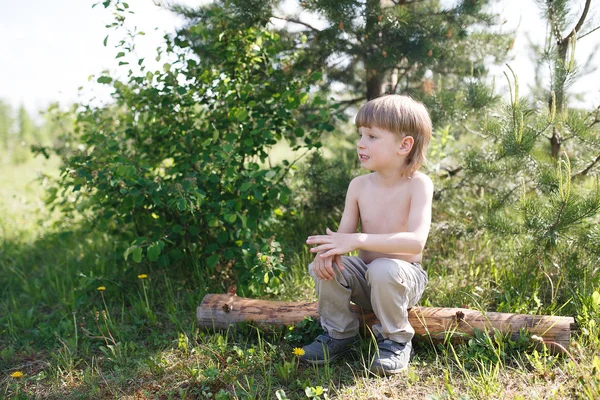 Niño guapo sentado en un tronco en el verano en el campo —  Fotos de Stock
