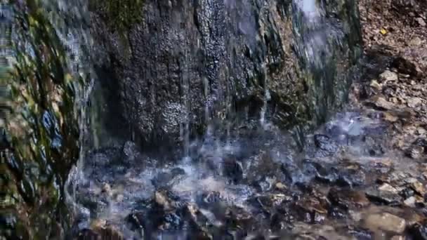 Corrente de água doce com cachoeira — Vídeo de Stock