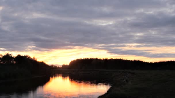 The river, a pond in the forest at sunset. — Stock Video