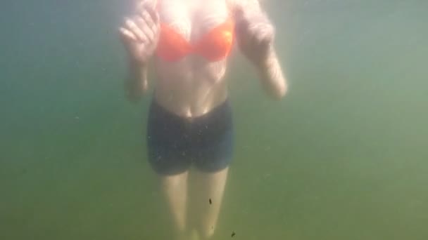 Молодая красивая женщина плавает под водой — стоковое видео