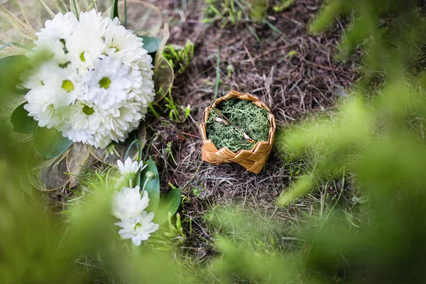 Dois anéis de casamento no musgo — Fotografia de Stock