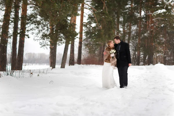 Couple de jeunes mariés marchant dans une forêt d'hiver — Photo