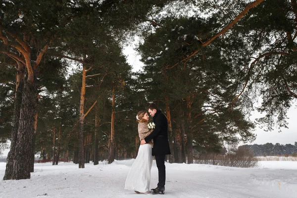 Coppia sposi che camminano in una foresta invernale — Foto Stock