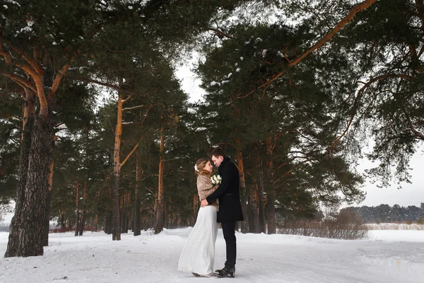 Couple de jeunes mariés marchant dans une forêt d'hiver — Photo