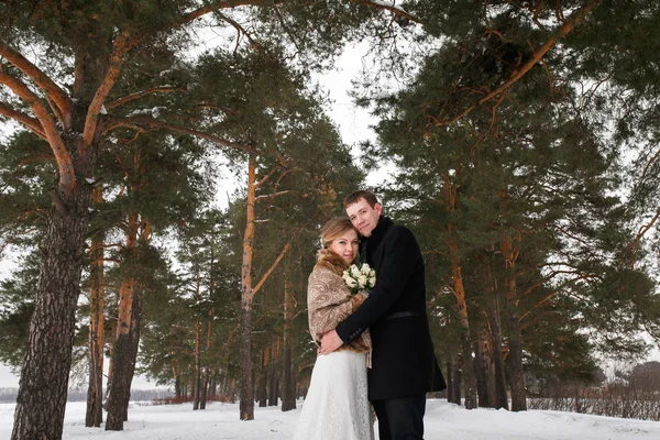 Couple newlyweds walking in a winter forest — Stock Photo, Image