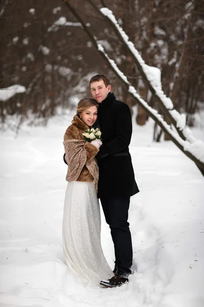 在冬天的森林里散步的夫妇新婚夫妇 — 图库照片