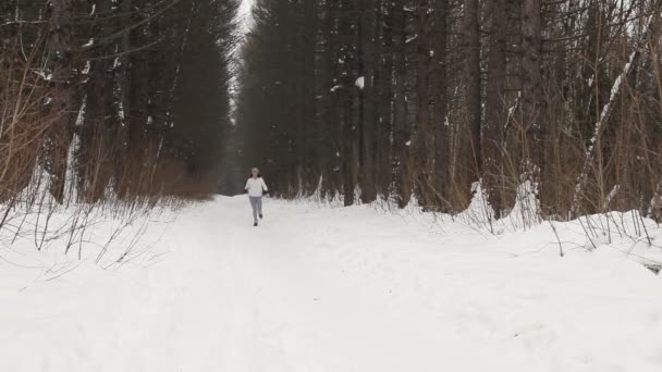 Kvinne løper rundt i skogen – stockvideo