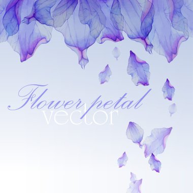 Çiçek suluboya tebrik kartı