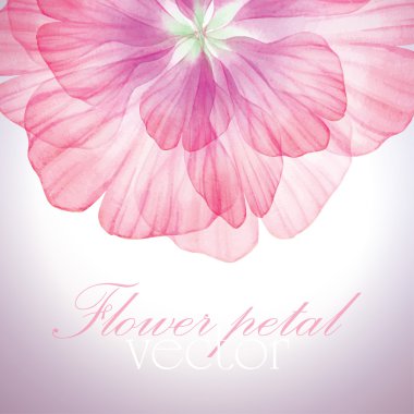 Pembe çiçek yaprakları ile Seamless Modeli