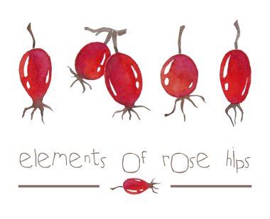 elements of rose hips clipart