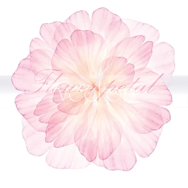 花の水彩画のグリーティング カード — ストックベクタ