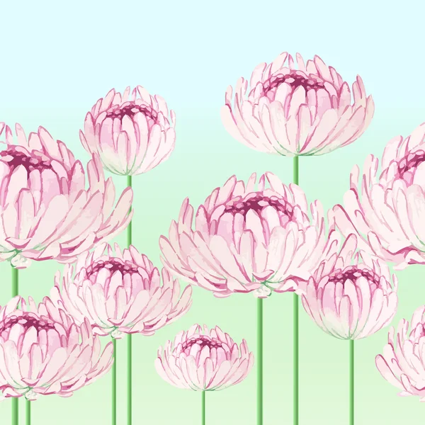 Nahtloses Muster mit rosa Chrysanthemen — Stockvektor