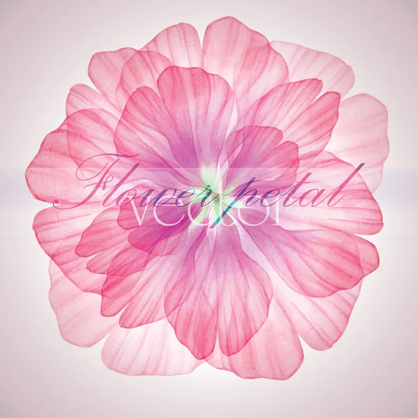 Seamless pattern with Pink flower petals — Stock Vector