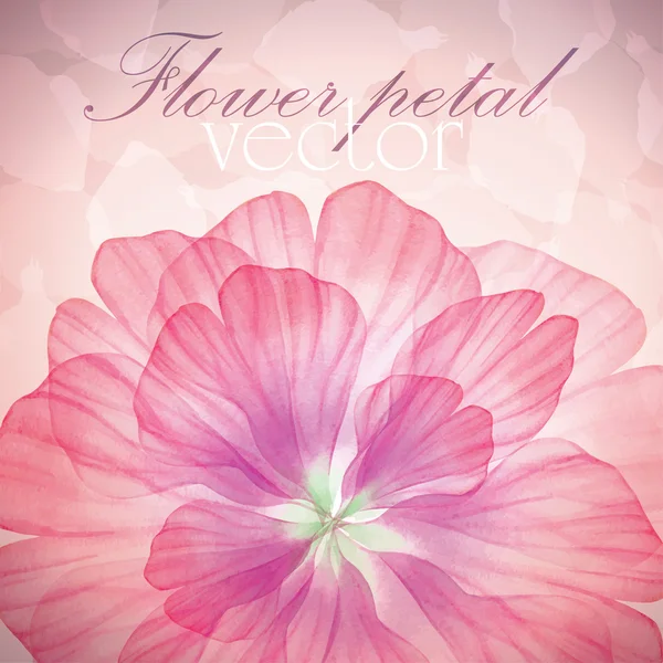 Seamless pattern with Pink flower petals — Stock Vector © LoveLava