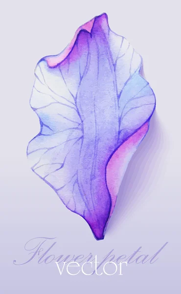 Éléments aquarelle Pétale fleur pourpre — Image vectorielle