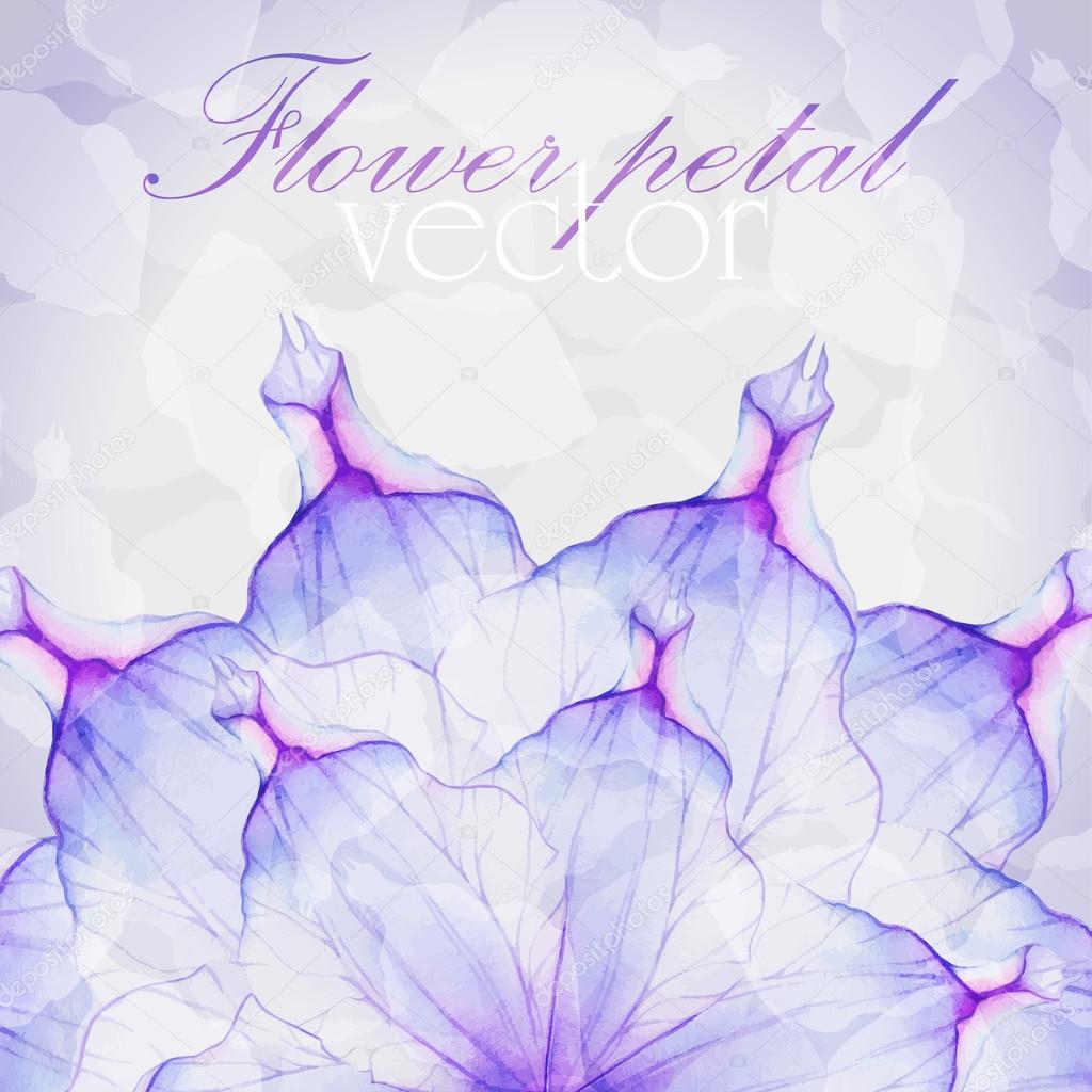 pattern with Purple flower petals