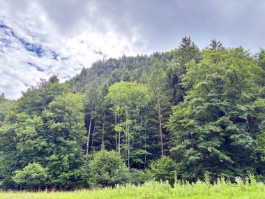 Güneş ışınlarıyla aydınlatılan dağ eteklerinin manzarası ufuktaki bulutlu gökyüzünün arka planına karşı..