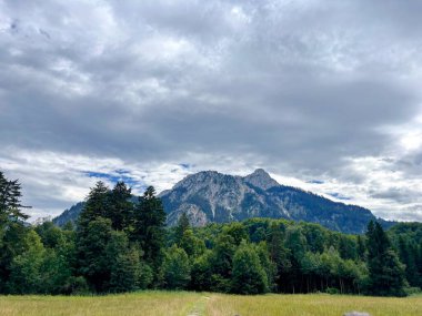 Ufukta bulutlu bir gökyüzünün altındaki dağ tepelerinin arka planına karşı ormanın eteğindeki eşsiz dağlık çayır manzarası.