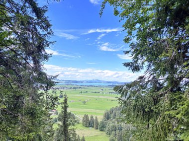 Ormanın tepesinden dağ ormanının eteklerindeki dağlık çayırlardan mavi, güneşli gökyüzüne doğru bak..