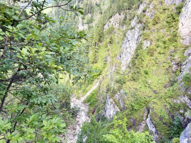 Dağ ormanlarının çalılıklarının üstünden dağ nehirlerinin yatağına kadar uzanan dik yamaçlar..